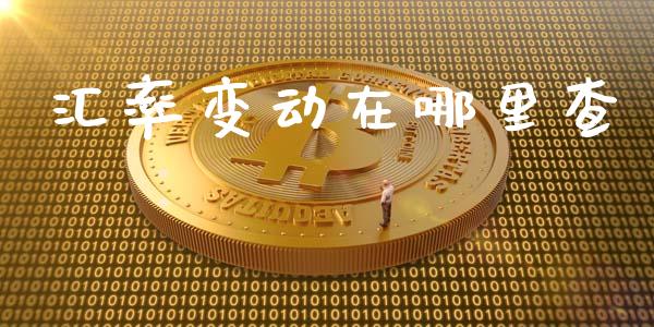 汇率变动在哪里查_https://m.gongyisiwang.com_财经咨询_第1张