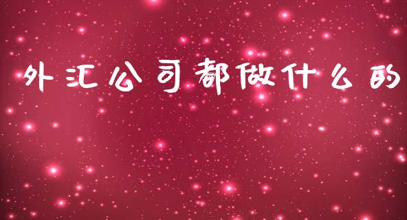 外汇公司都做什么的_https://m.gongyisiwang.com_债券咨询_第1张