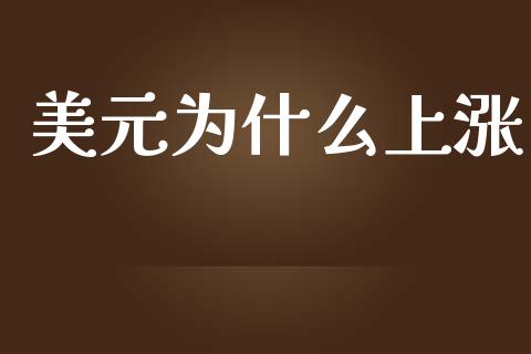 美元为什么上涨_https://m.gongyisiwang.com_债券咨询_第1张