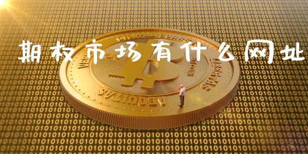 期权市场有什么网址_https://m.gongyisiwang.com_理财投资_第1张