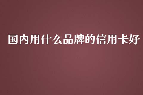 国内用什么品牌的信用卡好_https://m.gongyisiwang.com_财经时评_第1张