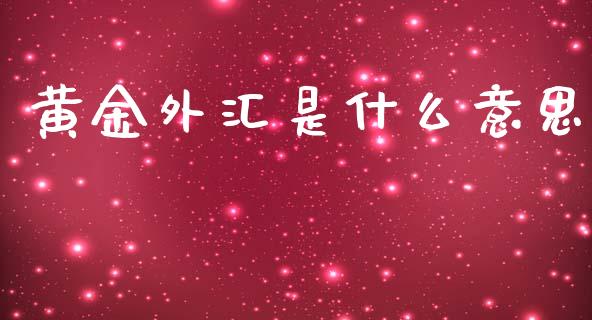 黄金外汇是什么意思_https://m.gongyisiwang.com_理财投资_第1张