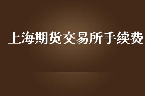 上海期货交易所手续费_https://m.gongyisiwang.com_理财投资_第1张