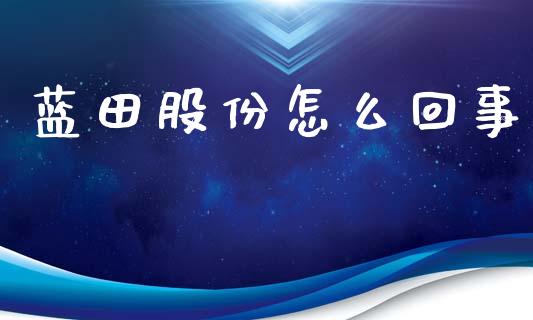 蓝田股份怎么回事_https://m.gongyisiwang.com_理财投资_第1张