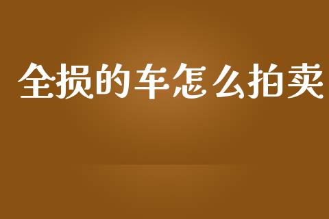 全损的车怎么拍卖_https://m.gongyisiwang.com_债券咨询_第1张