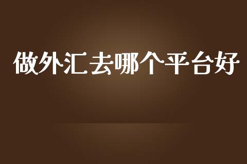 做外汇去哪个平台好_https://m.gongyisiwang.com_理财投资_第1张