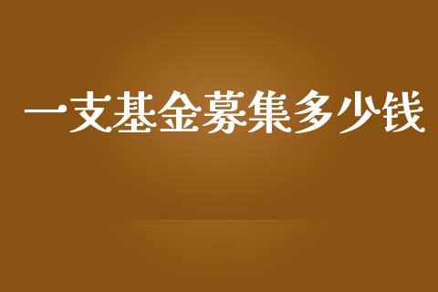 一支基金募集多少钱_https://m.gongyisiwang.com_理财产品_第1张