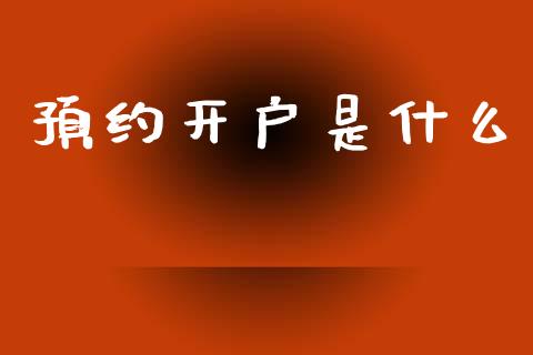 预约开户是什么_https://m.gongyisiwang.com_债券咨询_第1张