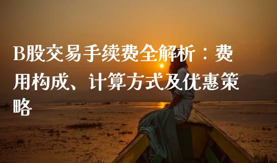 B股交易手续费全解析：费用构成、计算方式及优惠策略_https://m.gongyisiwang.com_财经咨询_第1张