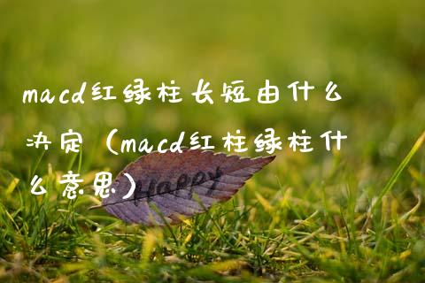 macd红绿柱长短由什么决定（macd红柱绿柱什么意思）_https://m.gongyisiwang.com_理财投资_第1张