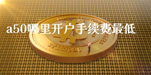 a50哪里开户手续费最低_https://m.gongyisiwang.com_信托投资_第1张