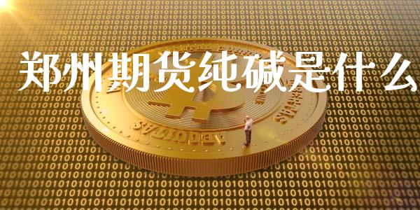 郑州期货纯碱是什么_https://m.gongyisiwang.com_商业资讯_第1张