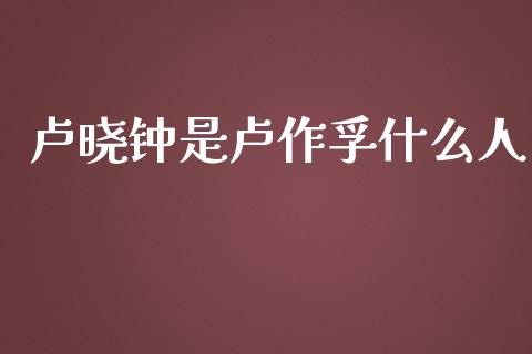 卢晓钟是卢作孚什么人_https://m.gongyisiwang.com_理财投资_第1张