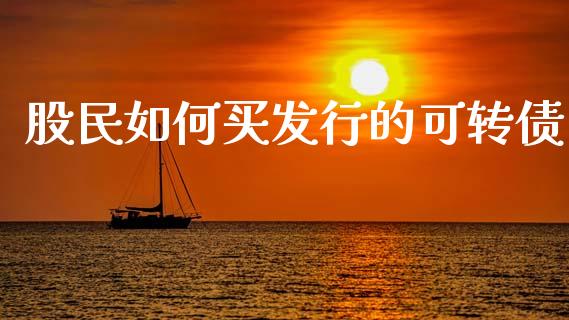 股民如何买发行的可转债_https://m.gongyisiwang.com_理财产品_第1张