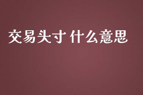 交易头寸 什么意思_https://m.gongyisiwang.com_理财投资_第1张