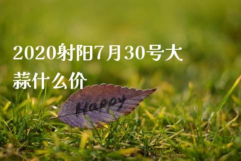 2020射阳7月30号大蒜什么价_https://m.gongyisiwang.com_理财投资_第1张