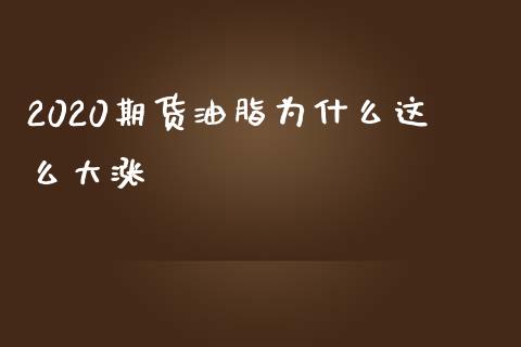 2020期货油脂为什么这么大涨_https://m.gongyisiwang.com_理财产品_第1张