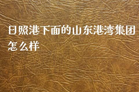 日照港下面的山东港湾集团怎么样_https://m.gongyisiwang.com_财经咨询_第1张