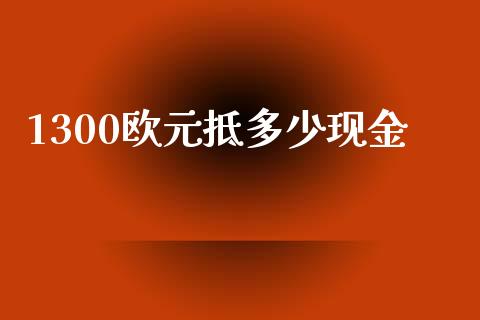 1300欧元抵多少现金_https://m.gongyisiwang.com_财经咨询_第1张