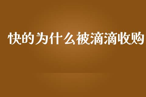 快的为什么被滴滴收购_https://m.gongyisiwang.com_信托投资_第1张