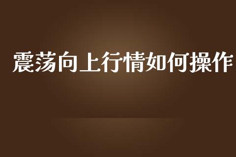 震荡向上行情如何操作_https://m.gongyisiwang.com_理财投资_第1张