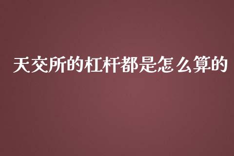 天交所的杠杆都是怎么算的_https://m.gongyisiwang.com_理财投资_第1张