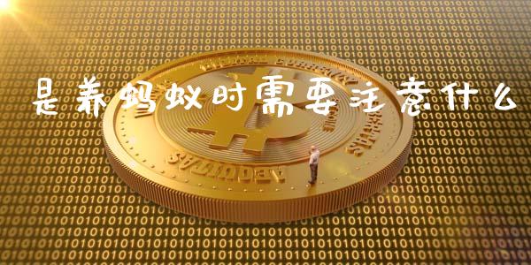 是养蚂蚁时需要注意什么_https://m.gongyisiwang.com_理财产品_第1张