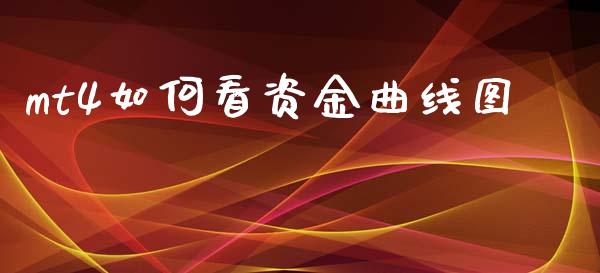 mt4如何看资金曲线图_https://m.gongyisiwang.com_债券咨询_第1张