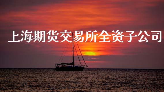 上海期货交易所全资子公司_https://m.gongyisiwang.com_财经时评_第1张