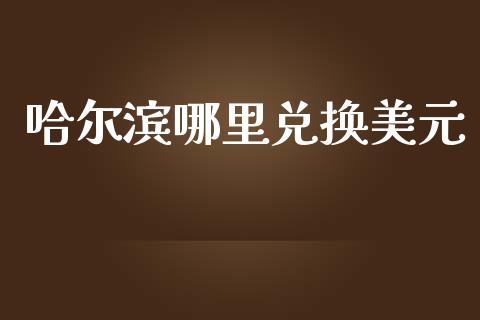 哈尔滨哪里兑换美元_https://m.gongyisiwang.com_债券咨询_第1张