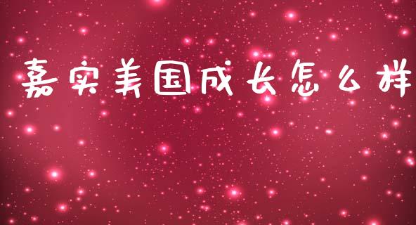 嘉实美国成长怎么样_https://m.gongyisiwang.com_商业资讯_第1张