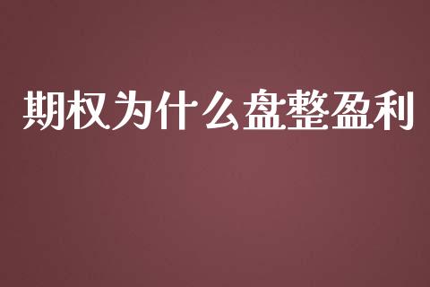 期权为什么盘整盈利_https://m.gongyisiwang.com_商业资讯_第1张