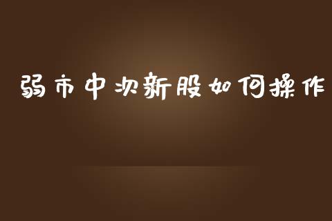 弱市中次新股如何操作_https://m.gongyisiwang.com_债券咨询_第1张