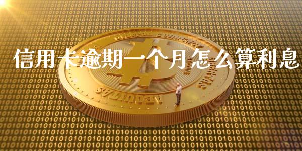 信用卡逾期一个月怎么算利息_https://m.gongyisiwang.com_商业资讯_第1张