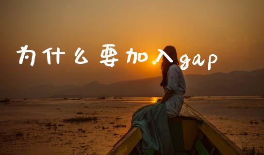 为什么要加入gap_https://m.gongyisiwang.com_商业资讯_第1张