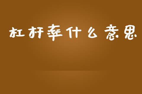 杠杆率什么意思_https://m.gongyisiwang.com_理财投资_第1张