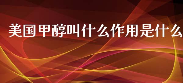 美国甲醇叫什么作用是什么_https://m.gongyisiwang.com_理财投资_第1张