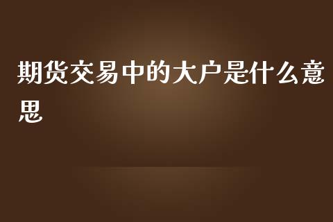 期货交易中的大户是什么意思_https://m.gongyisiwang.com_商业资讯_第1张