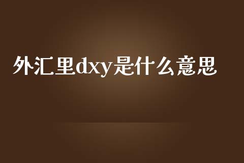 外汇里dxy是什么意思_https://m.gongyisiwang.com_保险理财_第1张