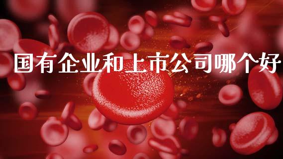 国有企业和上市公司哪个好_https://m.gongyisiwang.com_商业资讯_第1张