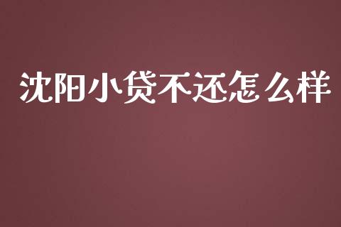 沈阳小贷不还怎么样_https://m.gongyisiwang.com_财经咨询_第1张