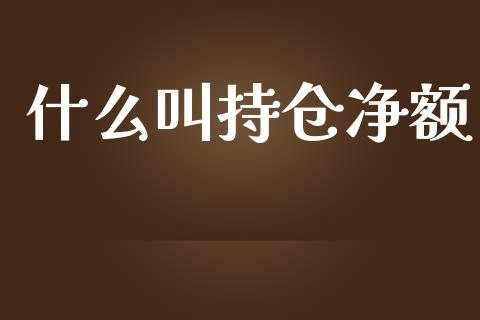 什么叫持仓净额_https://m.gongyisiwang.com_商业资讯_第1张