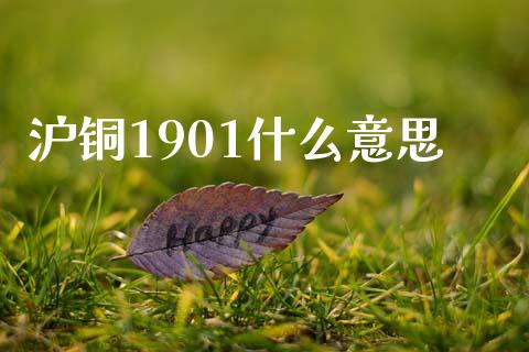 沪铜1901什么意思_https://m.gongyisiwang.com_财经咨询_第1张