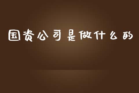 国资公司是做什么的_https://m.gongyisiwang.com_债券咨询_第1张