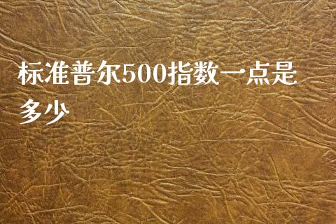 标准普尔500指数一点是多少_https://m.gongyisiwang.com_债券咨询_第1张