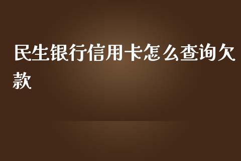 民生银行信用卡怎么查询欠款_https://m.gongyisiwang.com_财经时评_第1张