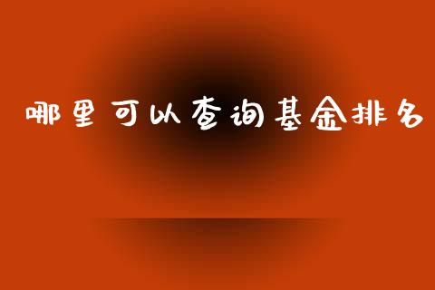 哪里可以查询基金排名_https://m.gongyisiwang.com_财经时评_第1张