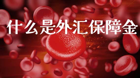 什么是外汇保障金_https://m.gongyisiwang.com_债券咨询_第1张