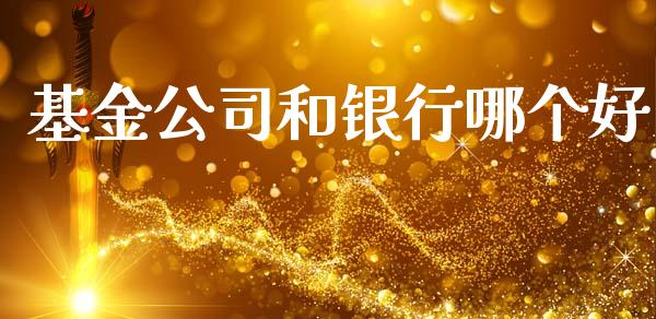 基金公司和银行哪个好_https://m.gongyisiwang.com_理财投资_第1张