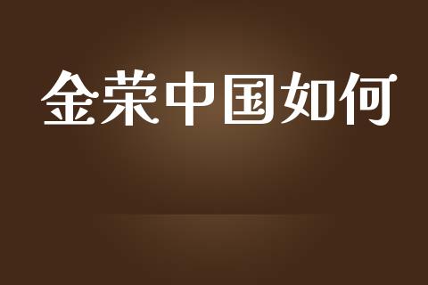 金荣中国如何_https://m.gongyisiwang.com_财经咨询_第1张